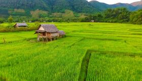 image-33